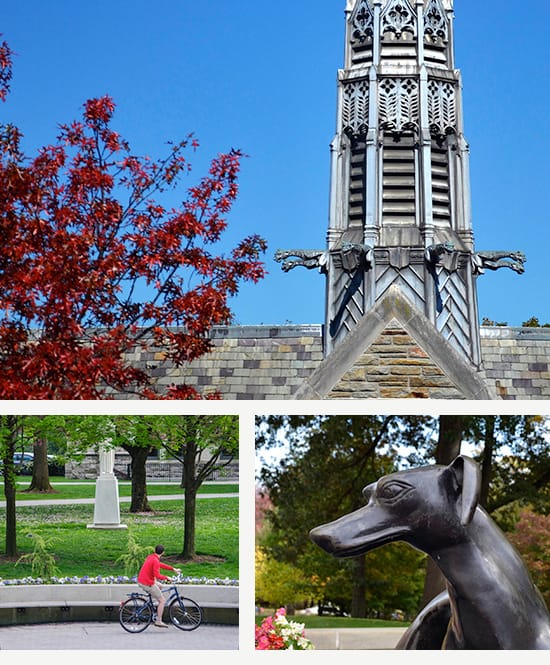 Several photos of buildings and statues on campus