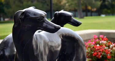 Two bronze greyhound statues next to red flowers